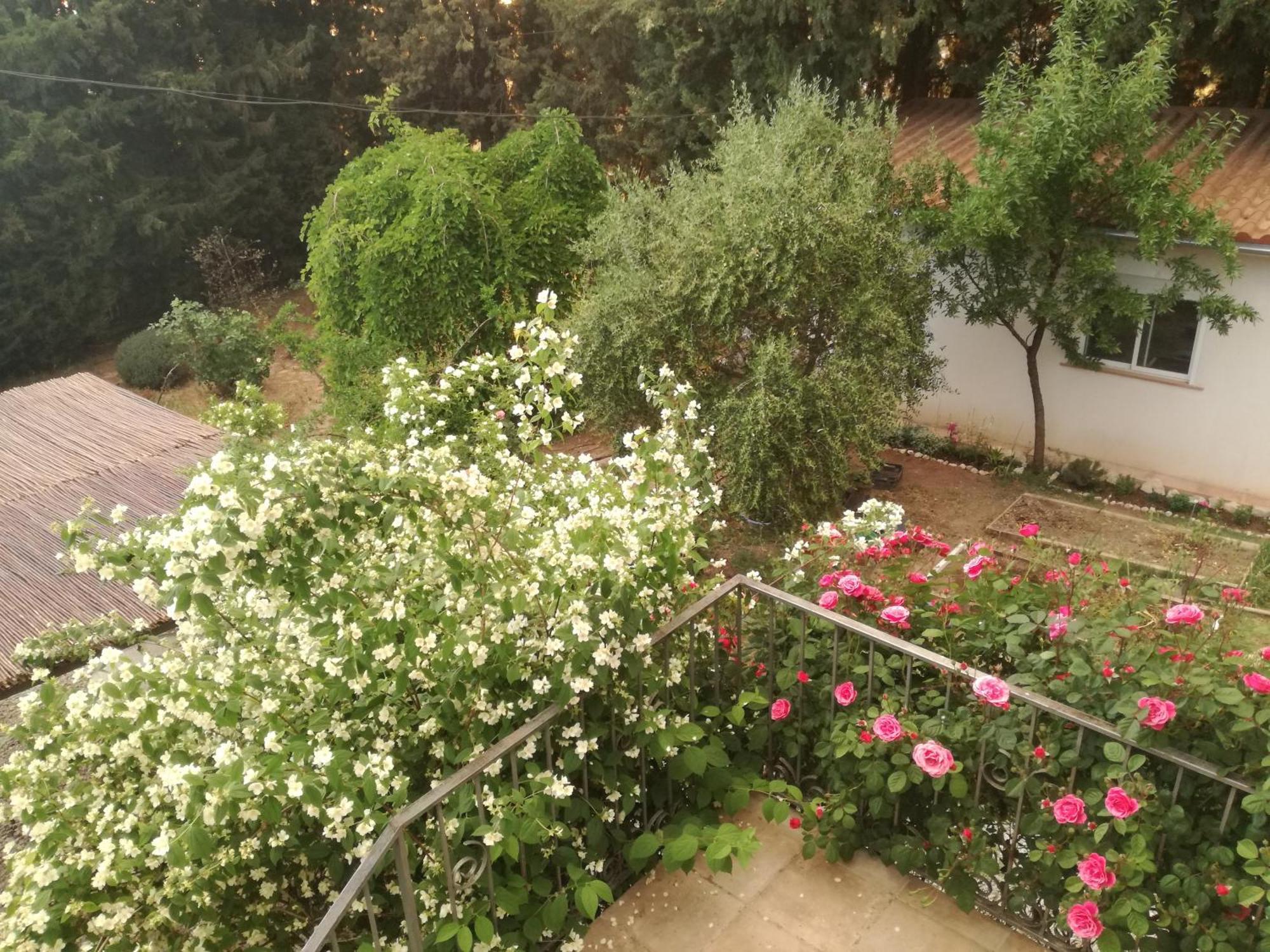 Casa Con Jardin Y Aparcamiento En Viznar, Junto A Granada Villa Eksteriør bilde