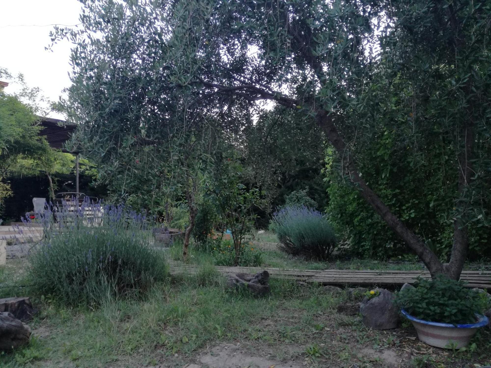 Casa Con Jardin Y Aparcamiento En Viznar, Junto A Granada Villa Eksteriør bilde